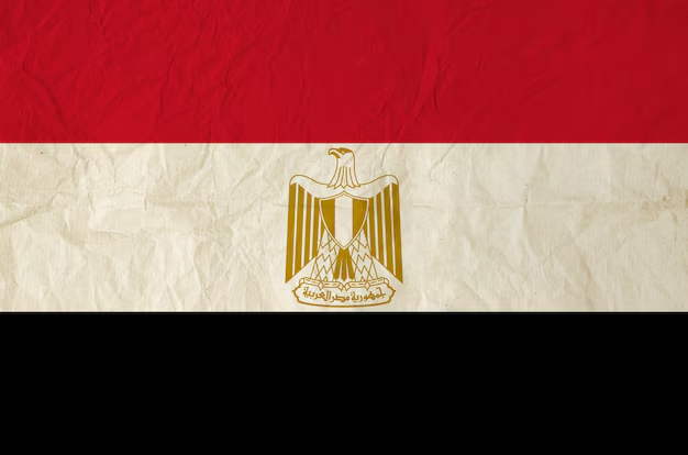 flag-egypt-with-old-vintage-paper-texture-background_39526-231
