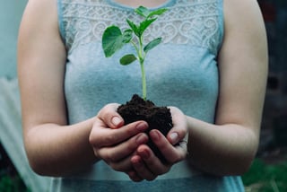 9 Sustainable Business Practices for Remote Teams