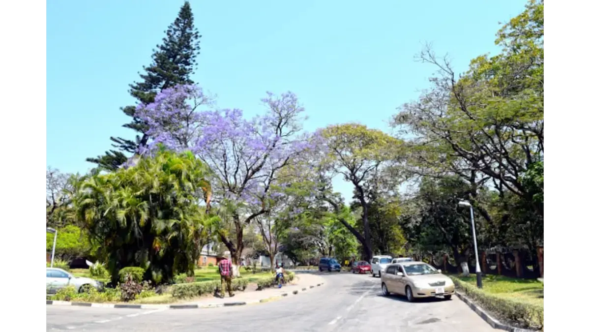 Lusaka, Zambia